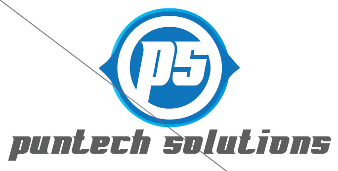PunTech Solutions Team